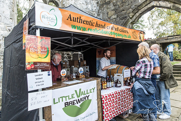 1296_HeptonstallFestival2013_bluplanetphoto__D8Q8567