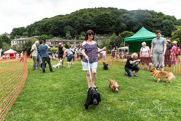 742_HebdenHappyHounds2016_bluplanetphoto