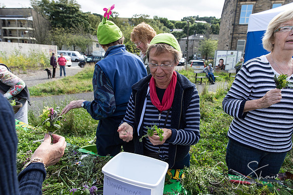 239_TodmordenHarvestFest2013_bluplanetphoto