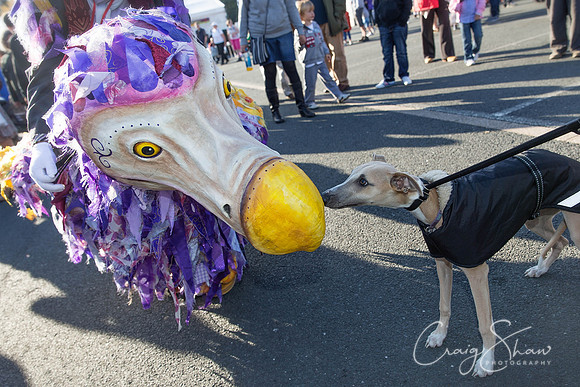 2723_SkiptonPuppetFestival2013_Sunday_bluplanetphoto-Edit