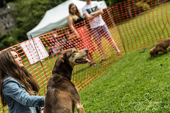 643_HebdenHappyHounds2016_bluplanetphoto