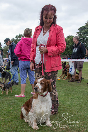 2320_HuddsBarkinthePark2013_bluplanetphoto__D8Q7148