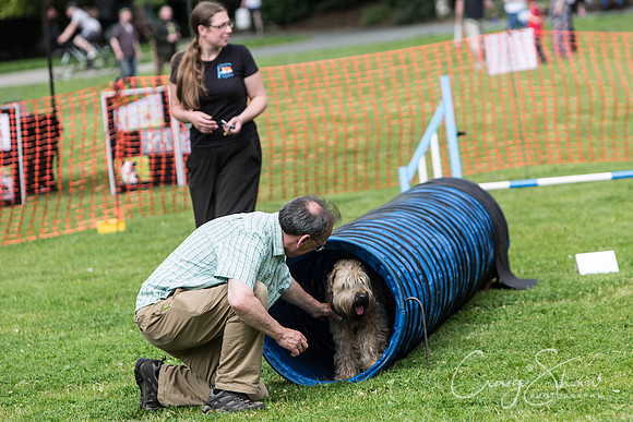 1081_HebdenHappyHounds2016_bluplanetphoto