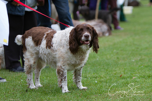 2020_HuddsBarkinthePark2013_bluplanetphoto_IMG_1005