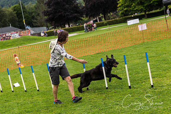 1366_HebdenHappyHounds2016_bluplanetphoto