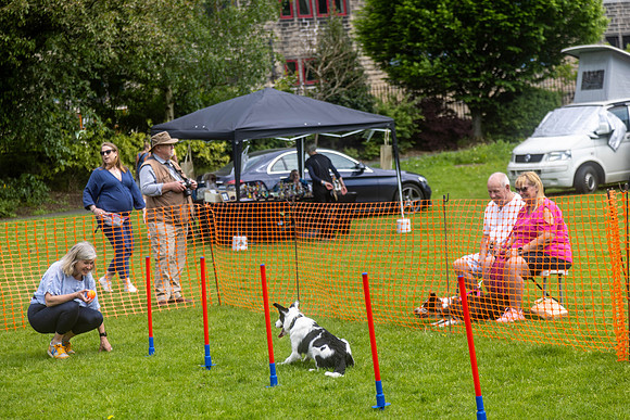1612_HebdensHappyHounds2024_Cshaw-