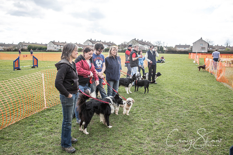 1037_SpringersDogClub_FunDay_March2016_craigshaw