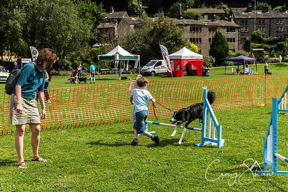 222_HebdenHappyHounds2016_bluplanetphoto