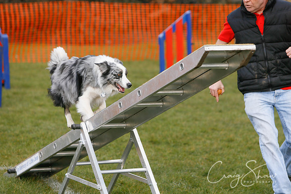 641_SpringersDogClub_FunDay_March2016_craigshaw