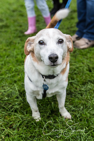 1421_ShibdenDogDayRSPCAHx_bluplanetphoto
