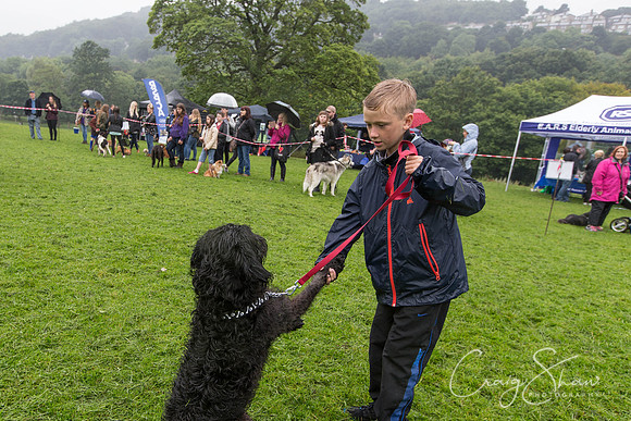 1546_ShibdenDogDayRSPCAHx_bluplanetphoto