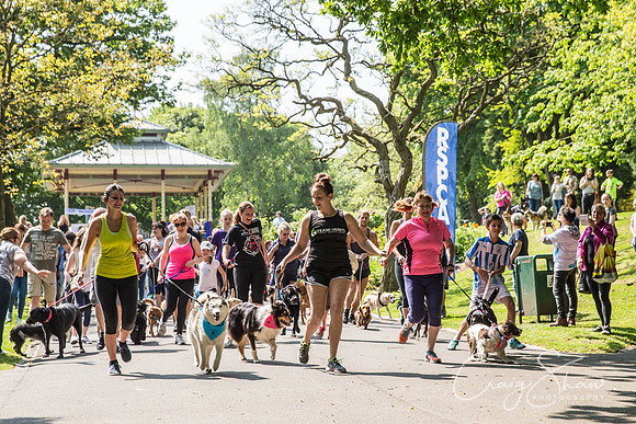 256_DoggyDashHudds2016_craigshawphoto