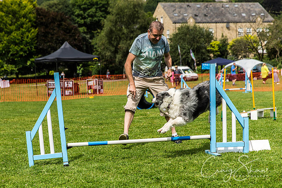 587_HebdenHappyHounds2016_bluplanetphoto