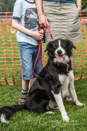 1115_HebdenHappyHounds2016_bluplanetphoto
