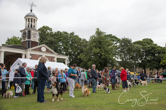 2298_HuddsBarkinthePark2013_bluplanetphoto__D8Q7145