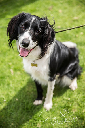 1237_PAWS_FundayJuly2016_bluplanetphoto