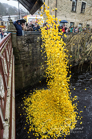 387_duckrace_March2016_craigshawphoto