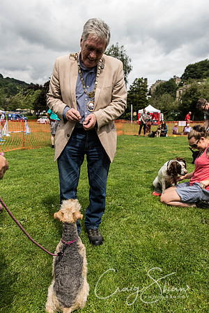 706_HebdenHappyHounds2016_bluplanetphoto