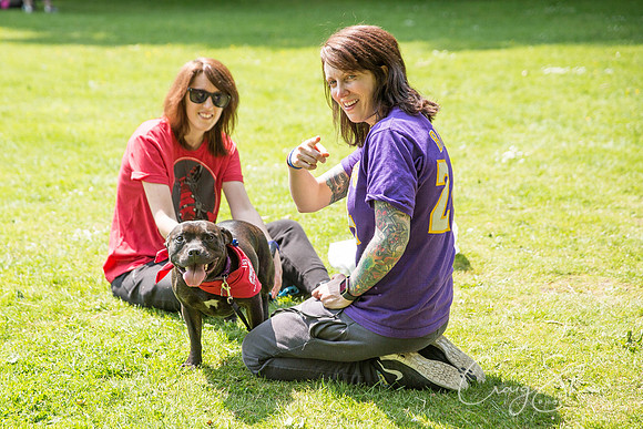 573_DoggyDashHudds2016_craigshawphoto