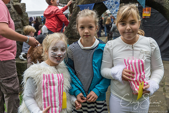 247_HeptonstallFestival2013_bluplanetphoto__D8Q7527