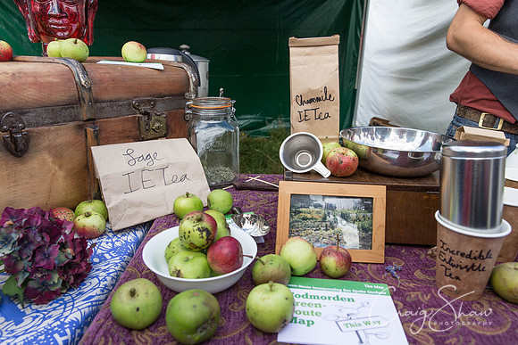 515_TodmordenHarvestFest2013_bluplanetphoto
