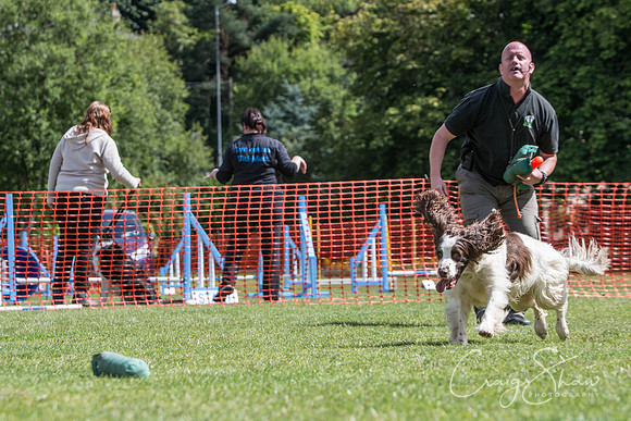 499_HebdenHappyHounds_2014_bluplanetphoto