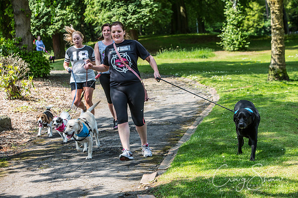 456_DoggyDashHudds2016_craigshawphoto