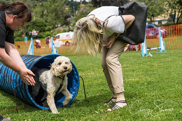 833_HebdenHappyHounds2016_bluplanetphoto