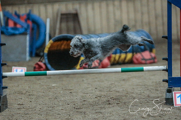 621_SpringersSpringFling2016_bluplanetphoto