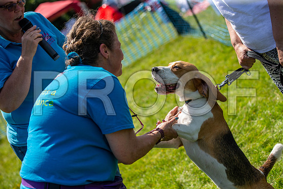 2662__PAWSFundogShow_July2022_cshaw