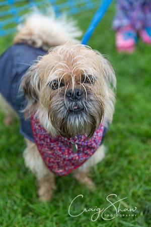 1140_ShibdenDogDayRSPCAHx_bluplanetphoto