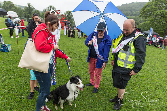 531_ShibdenDogDayRSPCAHx_bluplanetphoto