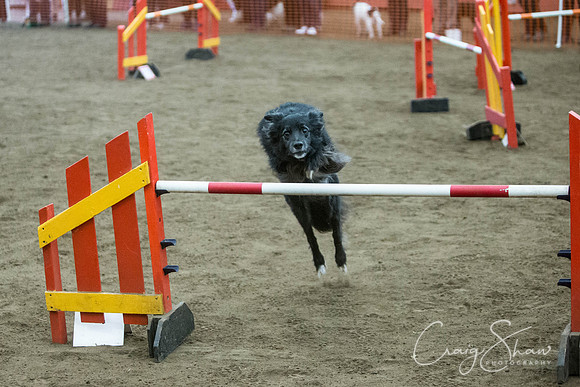 1580_springfling2015_bluplanetphoto