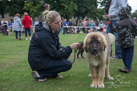 2244_HuddsBarkinthePark2013_bluplanetphoto__D8Q7098