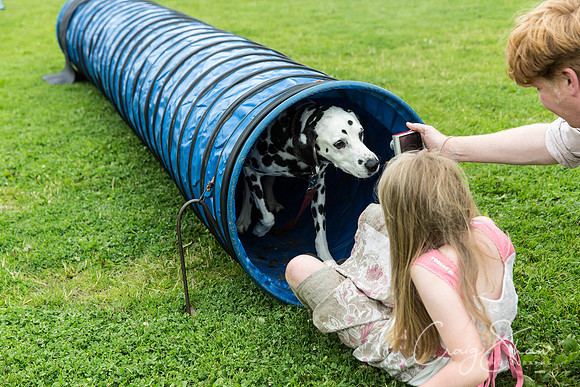 1010_HebdenHappyHounds2016_bluplanetphoto