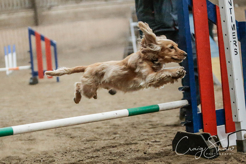 2584_SpringersSpringFling2016_bluplanetphoto