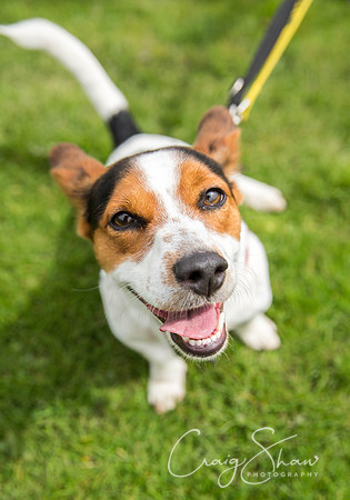 836_PAWS_FundayJuly2016_bluplanetphoto