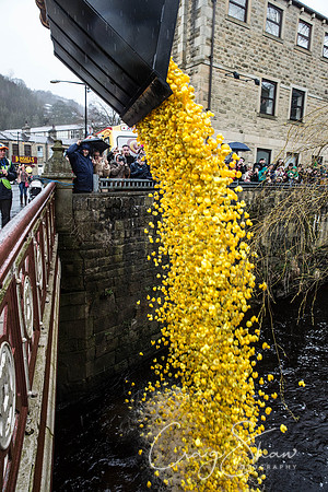 382_duckrace_March2016_craigshawphoto