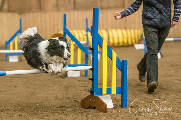 2441_SpringersSpringFling2016_bluplanetphoto