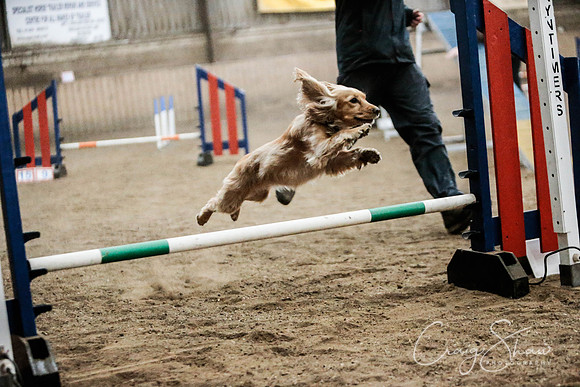 2583_SpringersSpringFling2016_bluplanetphoto