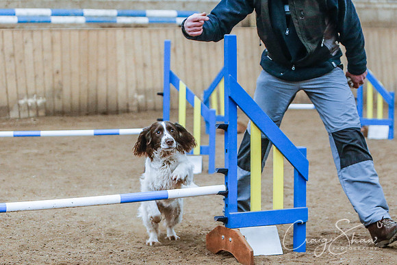 2492_SpringersSpringFling2016_bluplanetphoto