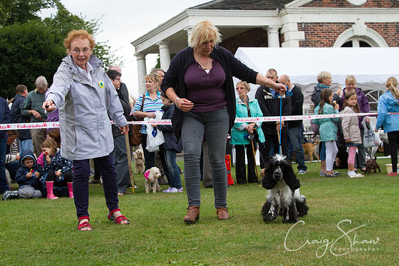 2165_HuddsBarkinthePark2013_bluplanetphoto_IMG_1037