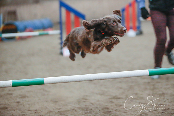736_SpringersSpringFling2016_bluplanetphoto