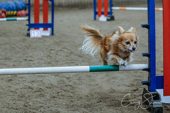 536_SpringersSpringFling2016_bluplanetphoto