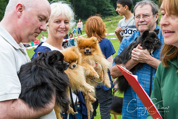 RSPCA Dog Day Afternoon