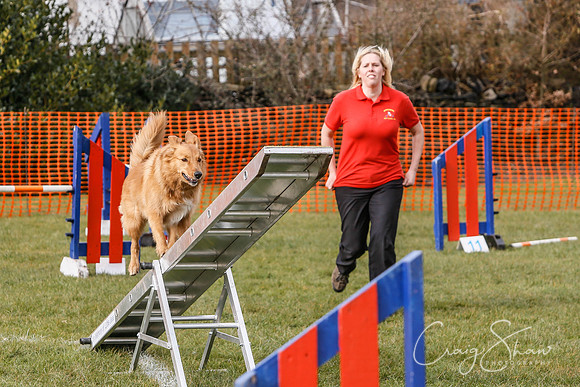 1045_SpringersDogClub_FunDay_March2016_craigshaw