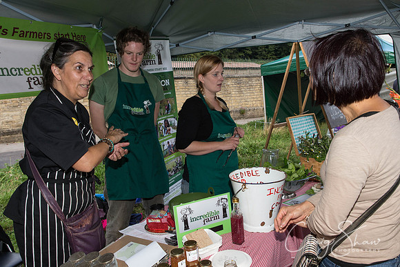 206_TodmordenHarvestFest2013_bluplanetphoto