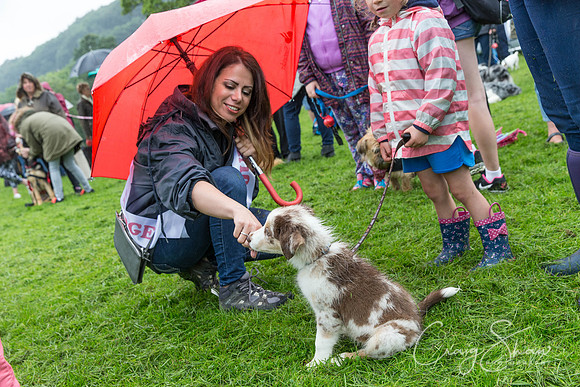 1072_ShibdenDogDayRSPCAHx_bluplanetphoto