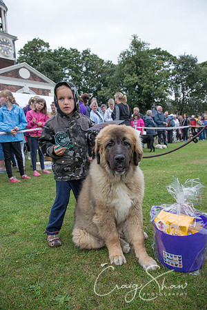 2273_HuddsBarkinthePark2013_bluplanetphoto__D8Q7123