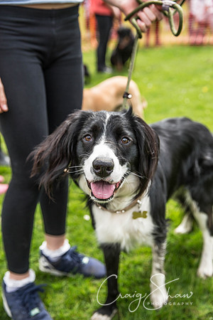 370_PAWS_FundayJuly2016_bluplanetphoto